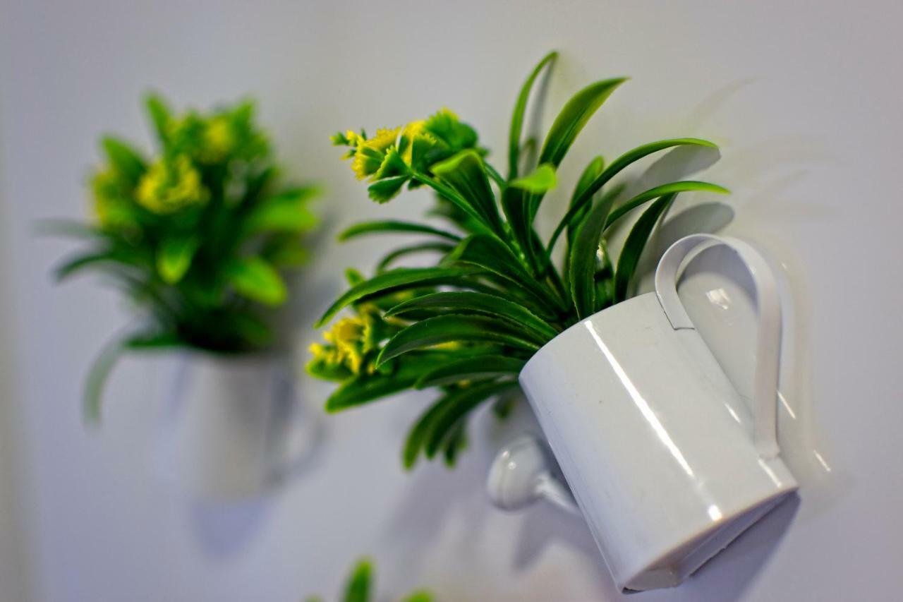 Carla Apartamentos نازاريه المظهر الخارجي الصورة